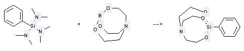 Silanetriamine,N,N,N',N',N'',N''-hexamethyl-1-phenyl- can react with 2,8,9-Trioxa-5-aza-1-bora-bicyclo[3.3.3]undecane to give 1-Phenyl-2,8,9-trioxa-5-aza-1-sila-bicyclo[3.3.3]undecane.